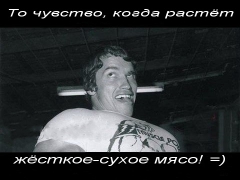 Арни ))